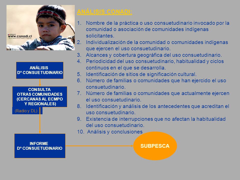 ANÁLISIS CONADI: Nombre de la práctica o uso consuetudinario invocado por la comunidad o asociación de comunidades indígenas solicitantes.