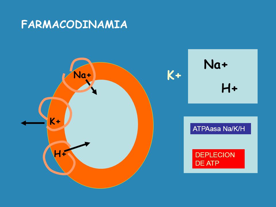 FARMACODINAMIA Na+ Na+ K+ H+ K+ ATPAasa Na/K/H H+ DEPLECION DE ATP