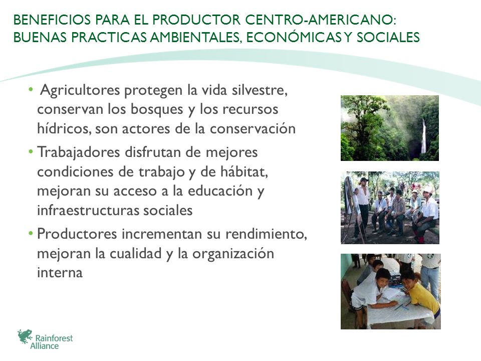 BENEFICIOS PARA EL PRODUCTOR CENTRO-AMERICANO: BUENAS PRACTICAS AMBIENTALES, ECONÓMICAS Y SOCIALES