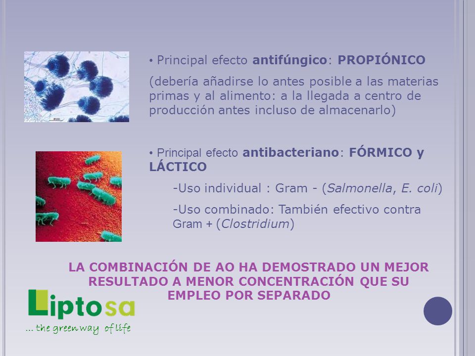Principal efecto antifúngico: PROPIÓNICO