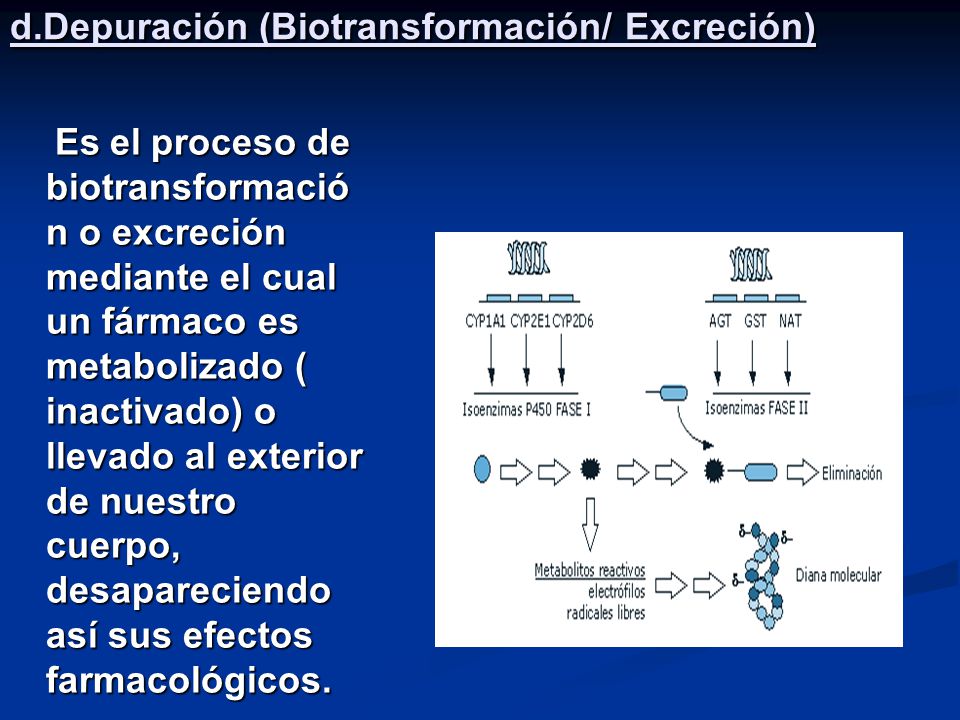 d.Depuración (Biotransformación/ Excreción)