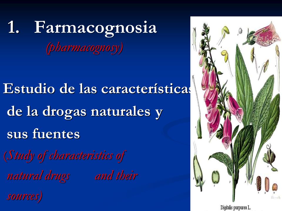 1. Farmacognosia (pharmacognosy)