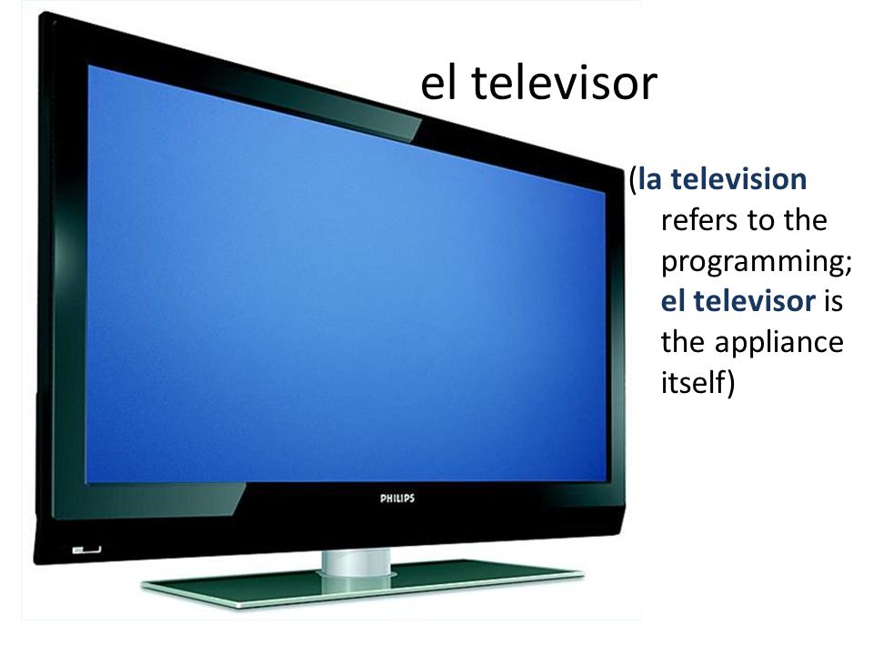 el televisor (la television refers to the programming; el televisor is the appliance itself)
