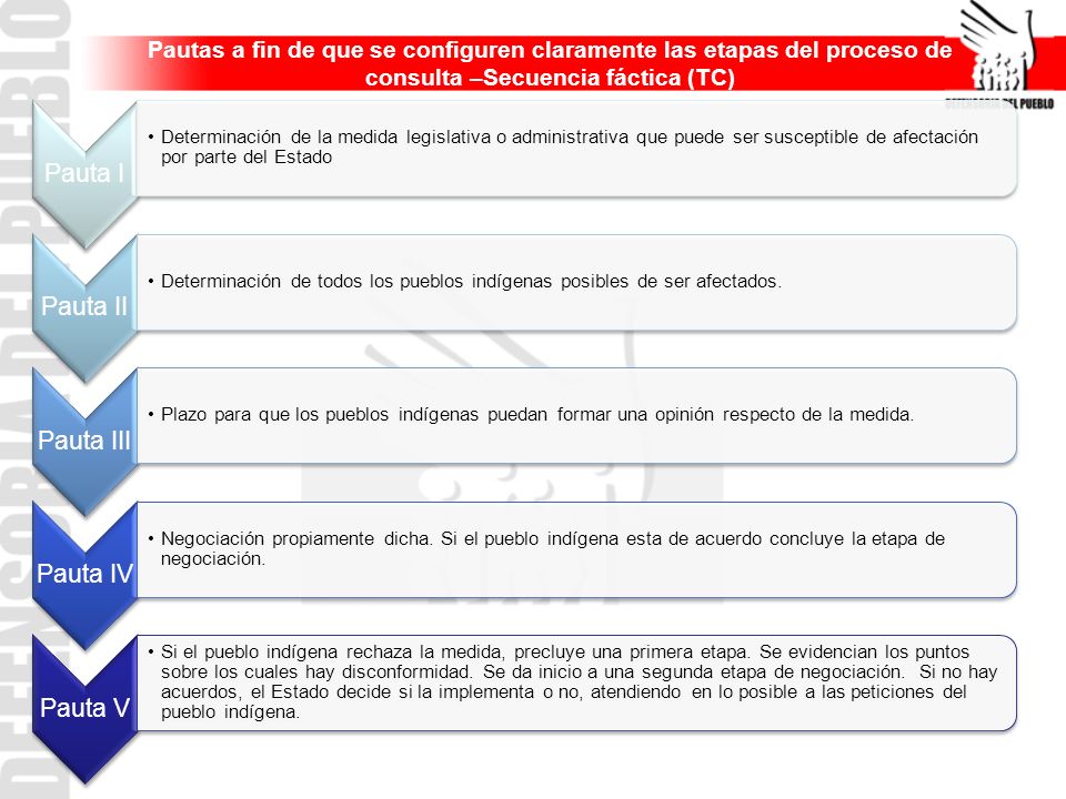 Pautas a fin de que se configuren claramente las etapas del proceso de consulta –Secuencia fáctica (TC)