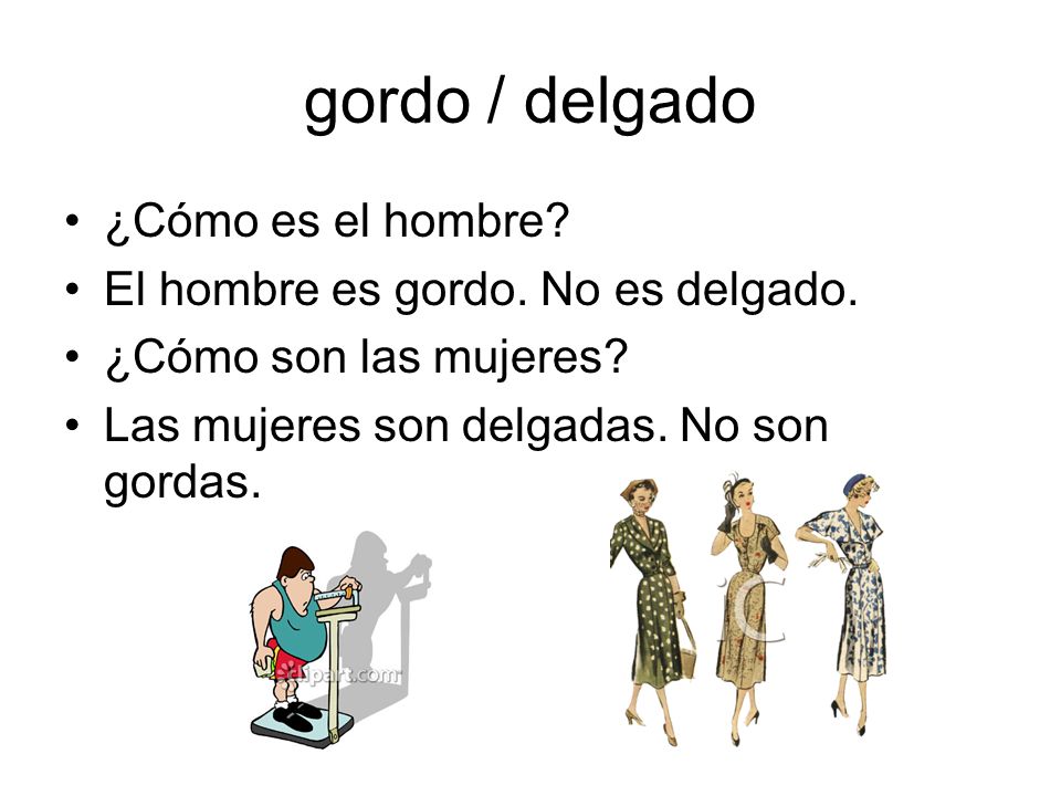 gordo / delgado ¿Cómo es el hombre El hombre es gordo. No es delgado.