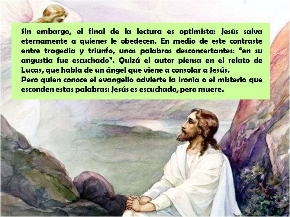 Sin embargo, el final de la lectura es optimista: Jesús salva eternamente a quienes le obedecen. En medio de este contraste entre tragedia y triunfo, unas palabras desconcertantes: en su angustia fue escuchado . Quizá el autor piensa en el relato de Lucas, que habla de un ángel que viene a consolar a Jesús.