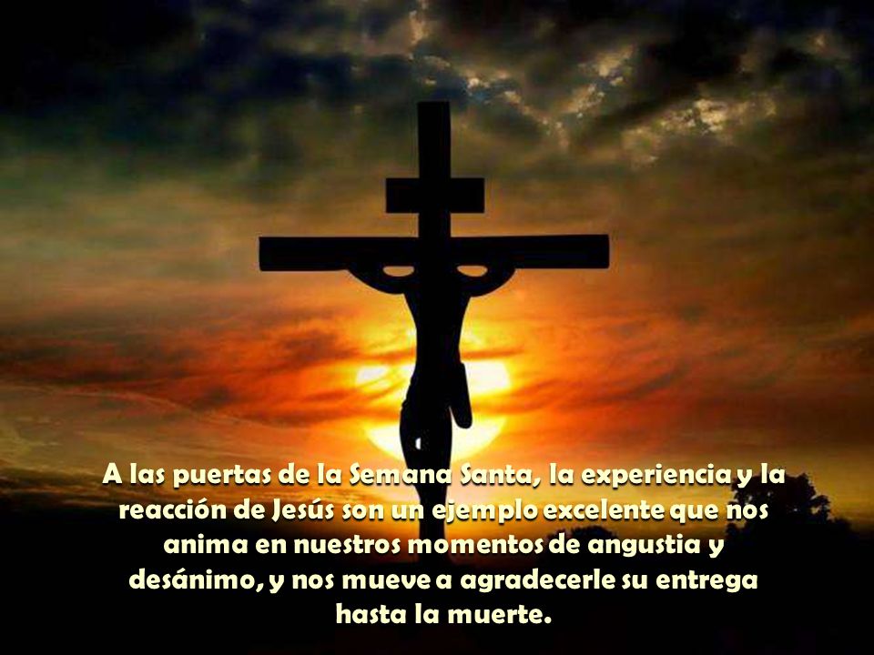 A las puertas de la Semana Santa, la experiencia y la reacción de Jesús son un ejemplo excelente que nos anima en nuestros momentos de angustia y desánimo, y nos mueve a agradecerle su entrega hasta la muerte.
