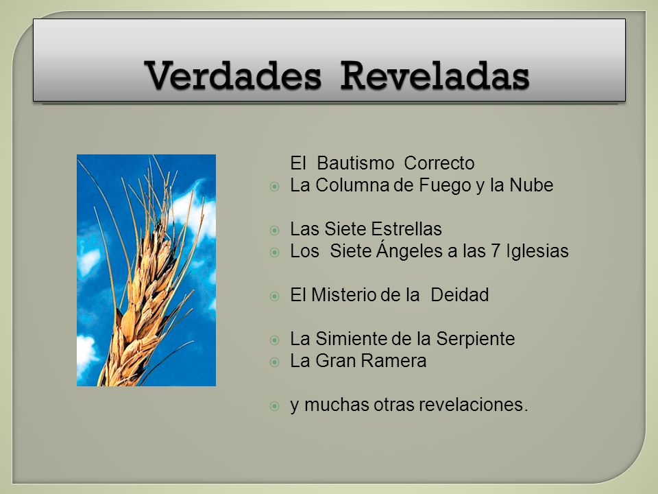 Verdades Reveladas La Columna de Fuego y la Nube Las Siete Estrellas