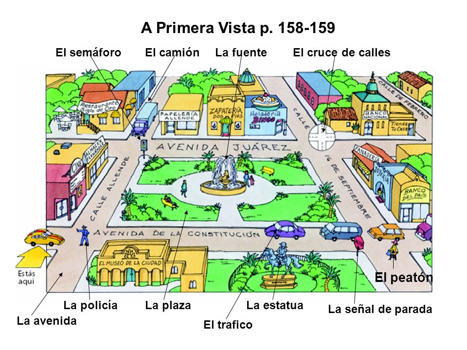 A Primera Vista p El peatón El semáforo El camión La fuente
