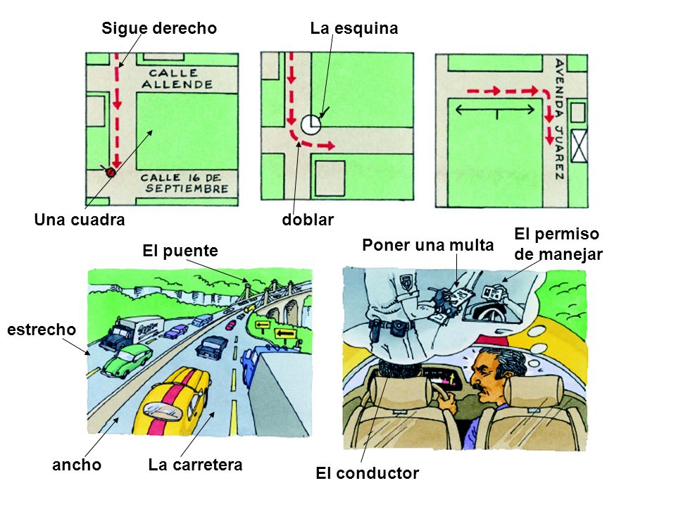 Sigue derecho La esquina. Una cuadra. doblar. El permiso. de manejar. Poner una multa. El puente.