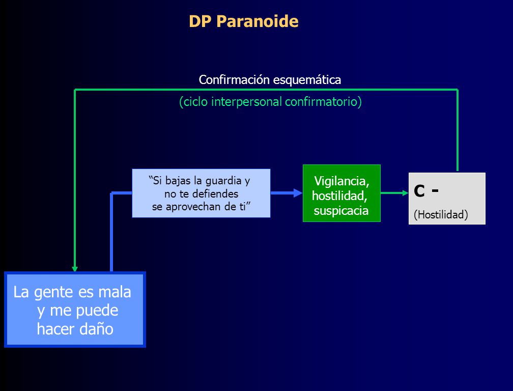 DP Paranoide C - La gente es mala y me puede hacer daño Vigilancia,