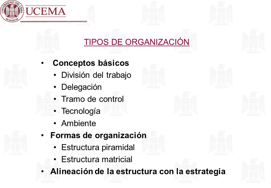 TIPOS DE ORGANIZACIÓN Conceptos básicos. División del trabajo. Delegación. Tramo de control. Tecnología.