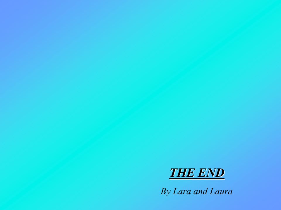 THE END By Lara and Laura