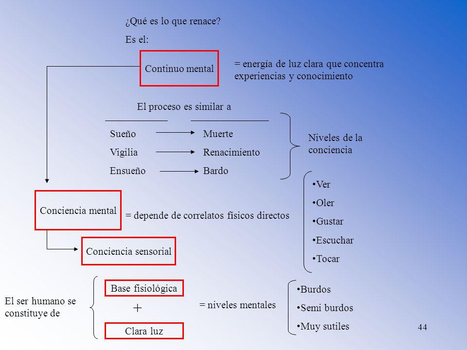 + ¿Qué es lo que renace Es el: Continuo mental