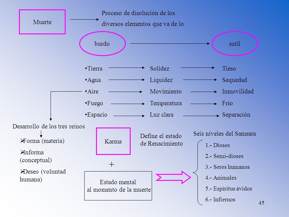 + Proceso de disolución de los diversos elementos que va de lo Muerte