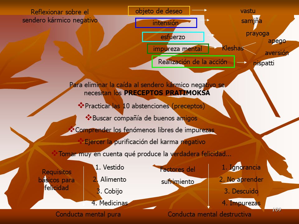 Reflexionar sobre el sendero kármico negativo objeto de deseo vastu