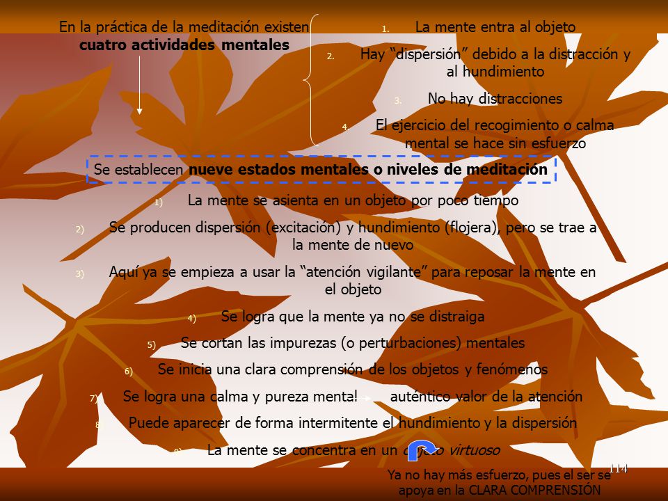 En la práctica de la meditación existen cuatro actividades mentales