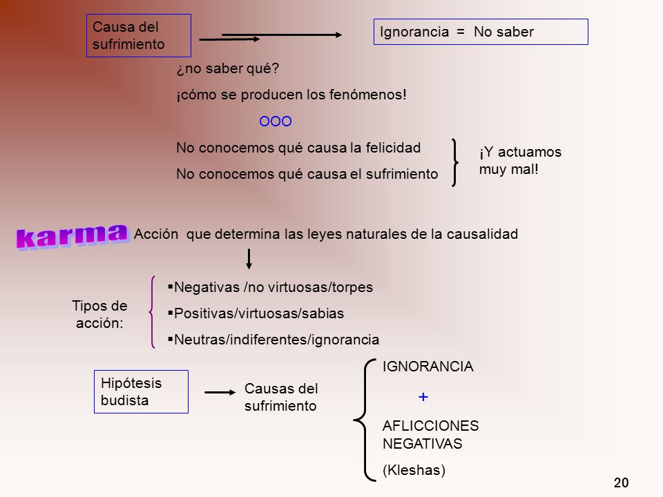 karma + Causa del sufrimiento Ignorancia = No saber ¿no saber qué