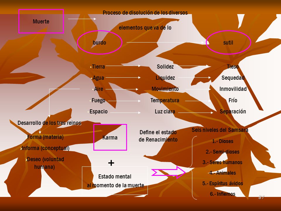 + Proceso de disolución de los diversos elementos que va de lo Muerte