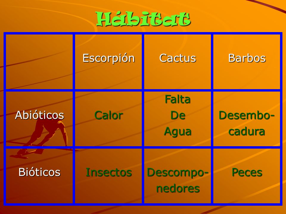 Hábitat Escorpión Cactus Barbos Abióticos Calor Falta De Agua Desembo-