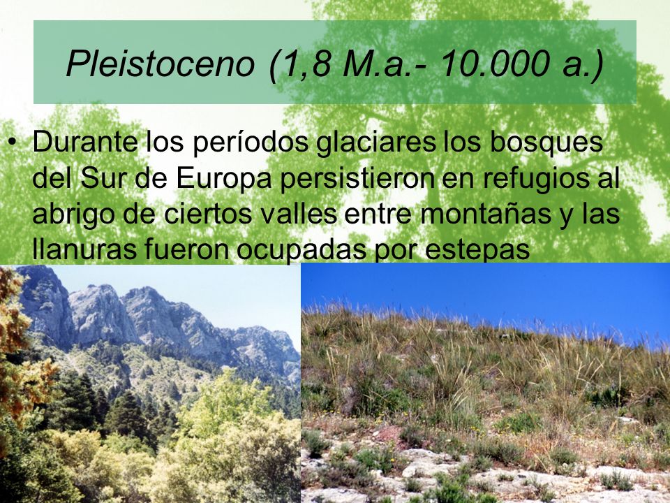 Pleistoceno (1,8 M.a a.)