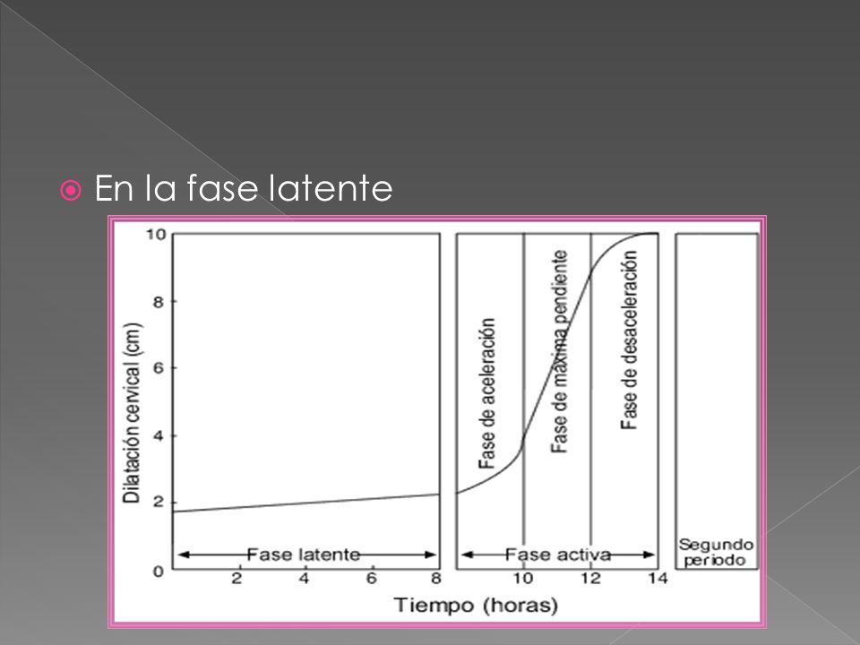 En la fase latente