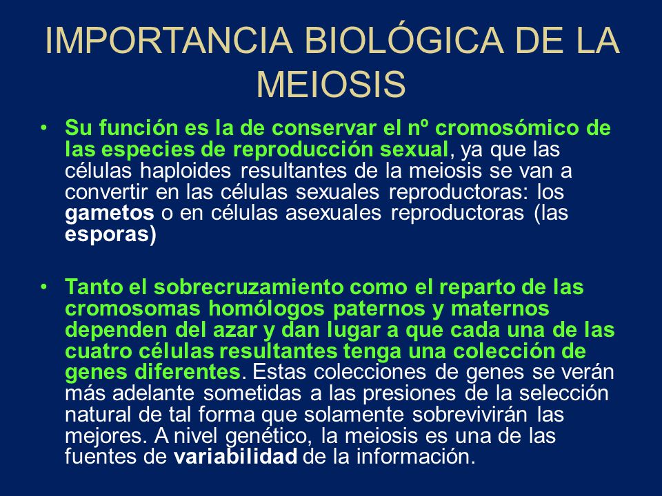 IMPORTANCIA BIOLÓGICA DE LA MEIOSIS