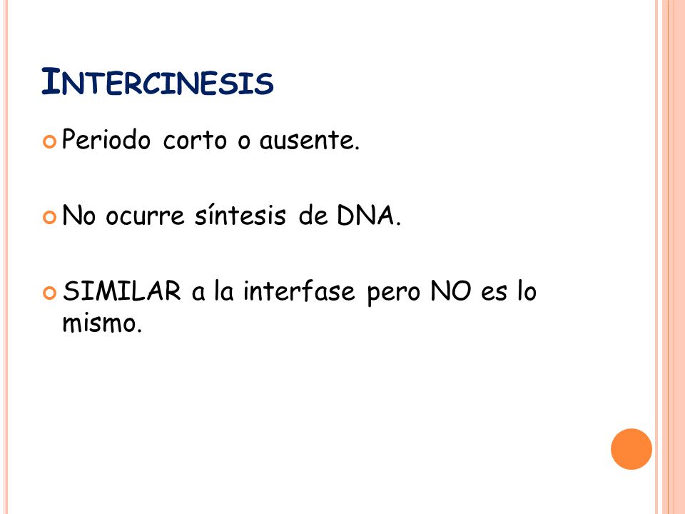 Intercinesis Periodo corto o ausente. No ocurre síntesis de DNA.