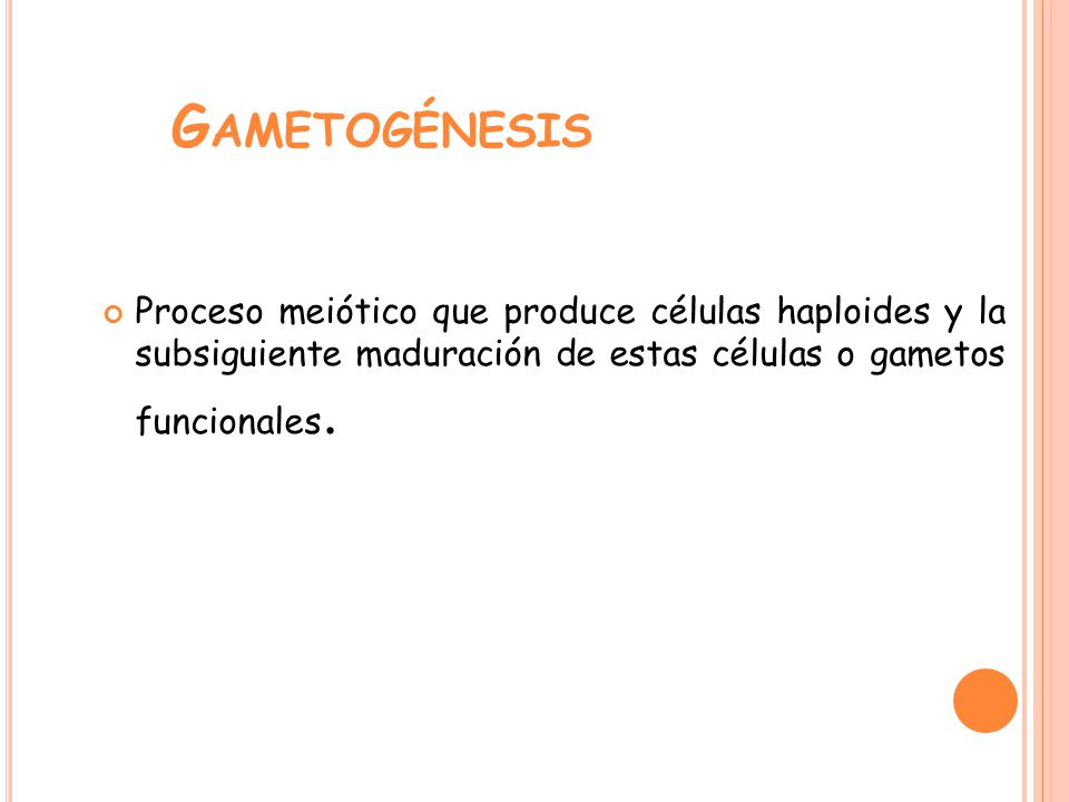 Gametogénesis Proceso meiótico que produce células haploides y la subsiguiente maduración de estas células o gametos funcionales.