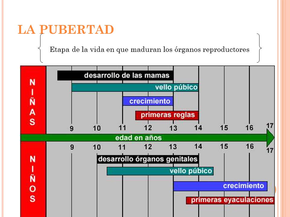 Etapa de la vida en que maduran los órganos reproductores