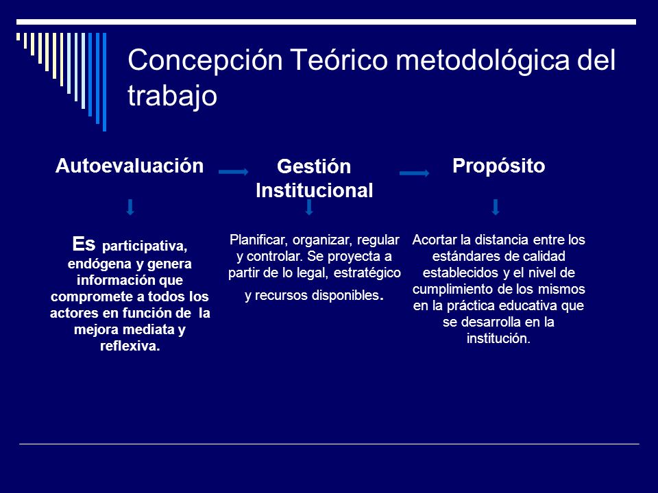 Concepción Teórico metodológica del trabajo