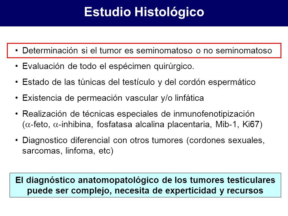 Estudio Histológico Determinación si el tumor es seminomatoso o no seminomatoso. Evaluación de todo el espécimen quirúrgico.