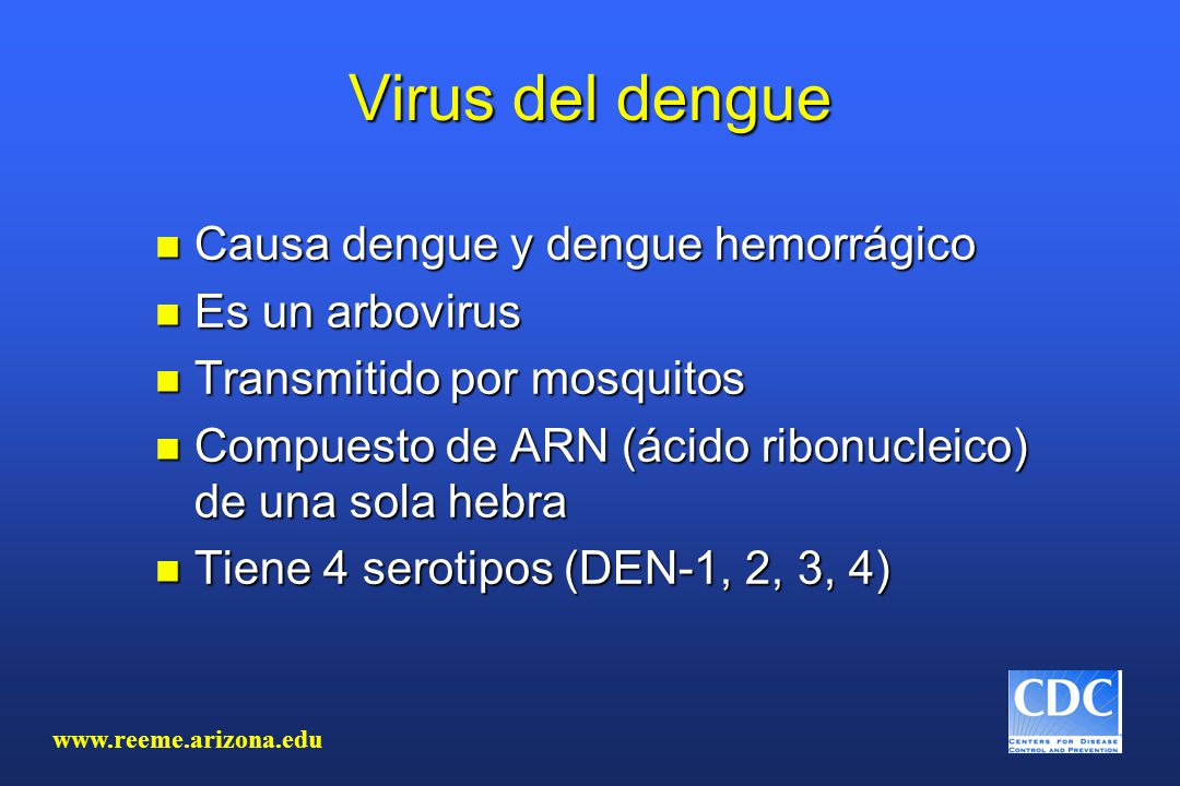 Virus del dengue Causa dengue y dengue hemorrágico Es un arbovirus