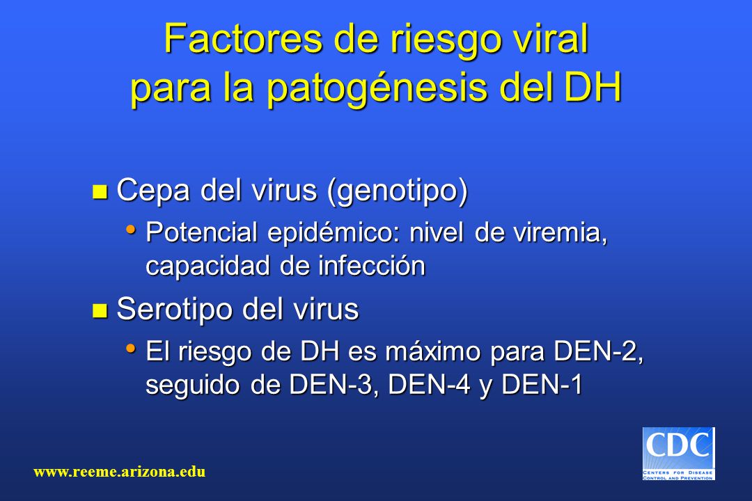 Factores de riesgo viral para la patogénesis del DH