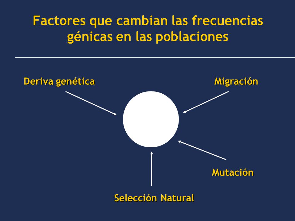 Factores que cambian las frecuencias génicas en las poblaciones