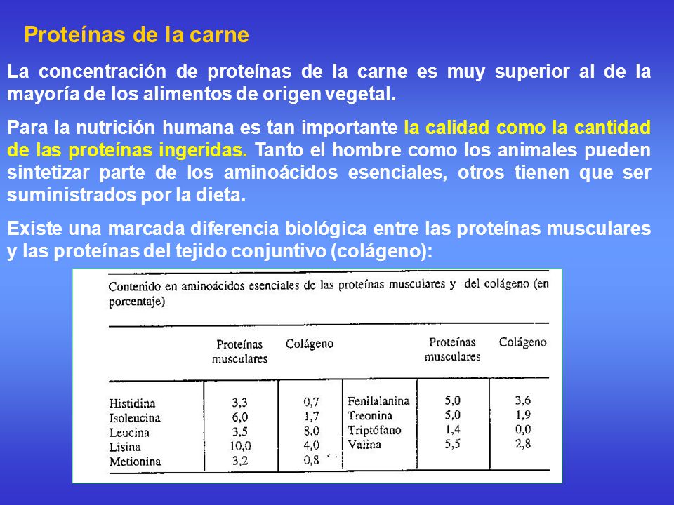 Proteínas de la carne La concentración de proteínas de la carne es muy superior al de la mayoría de los alimentos de origen vegetal.