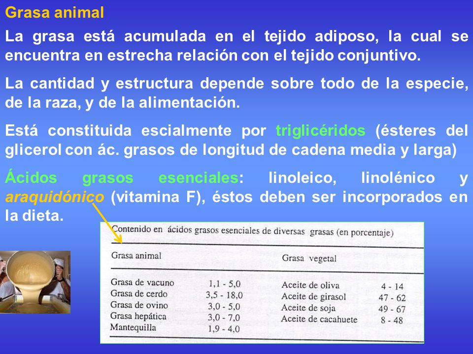 Grasa animal La grasa está acumulada en el tejido adiposo, la cual se encuentra en estrecha relación con el tejido conjuntivo.