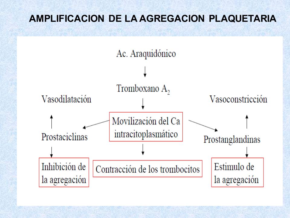 AMPLIFICACION DE LA AGREGACION PLAQUETARIA