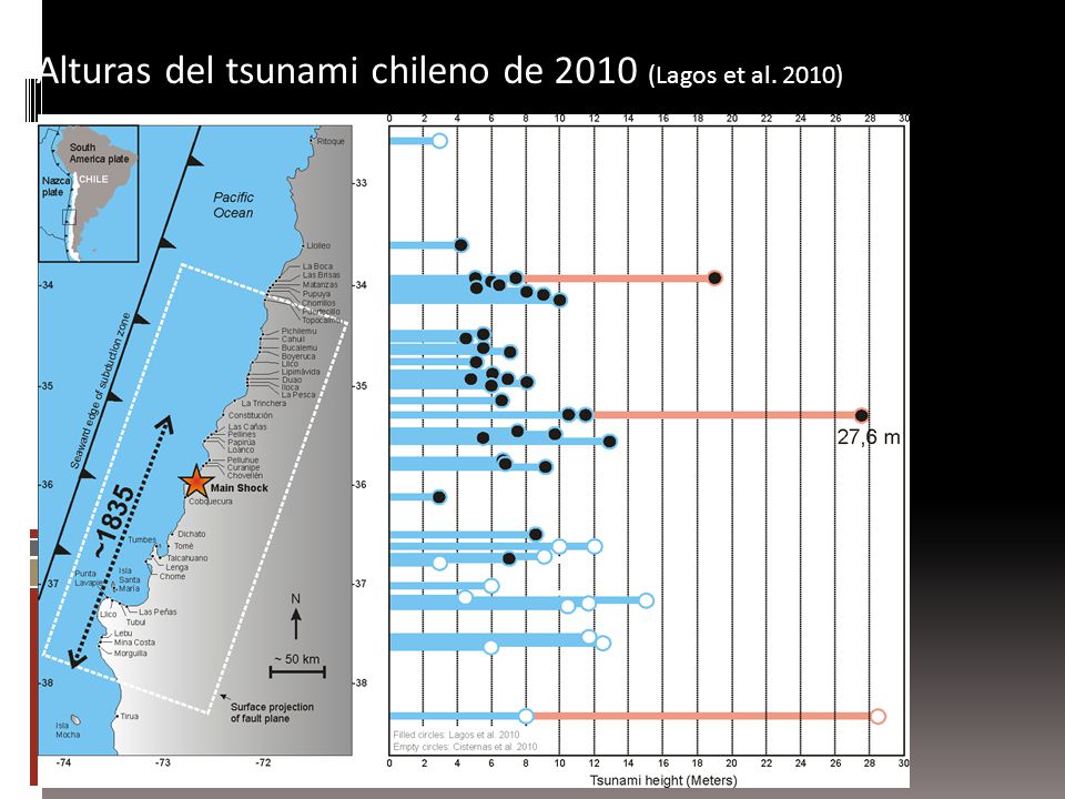 Alturas del tsunami chileno de 2010 (Lagos et al. 2010)