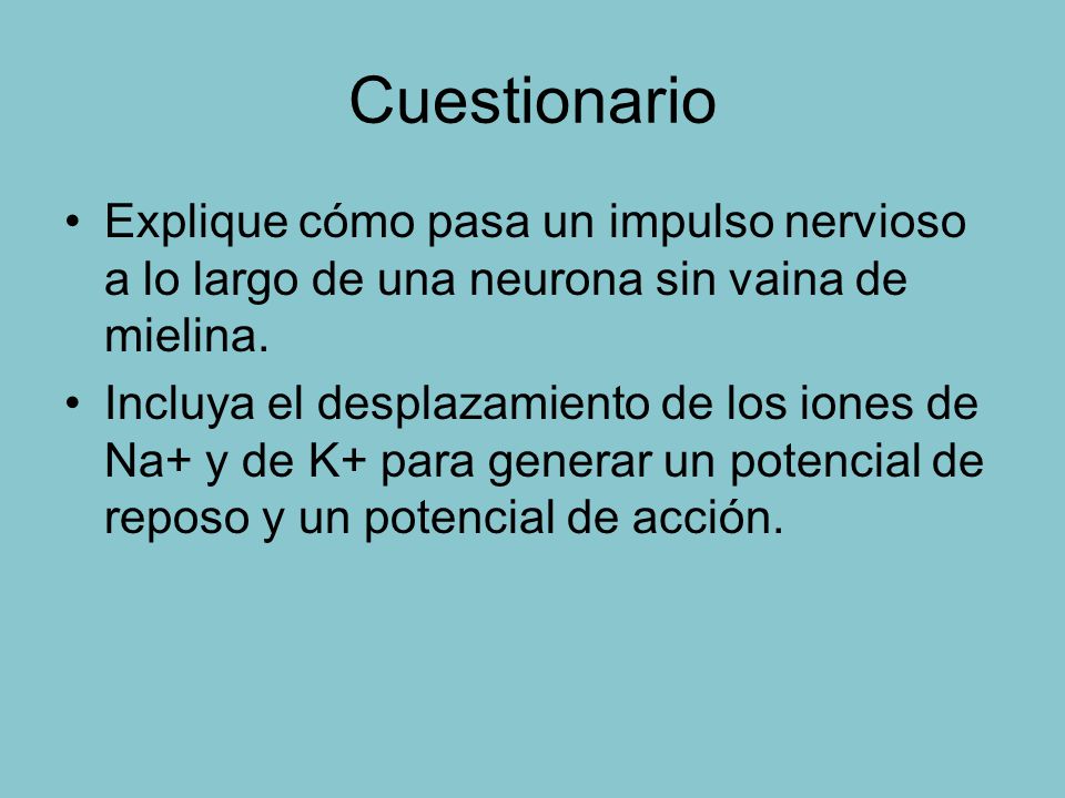Cuestionario Explique cómo pasa un impulso nervioso a lo largo de una neurona sin vaina de mielina.