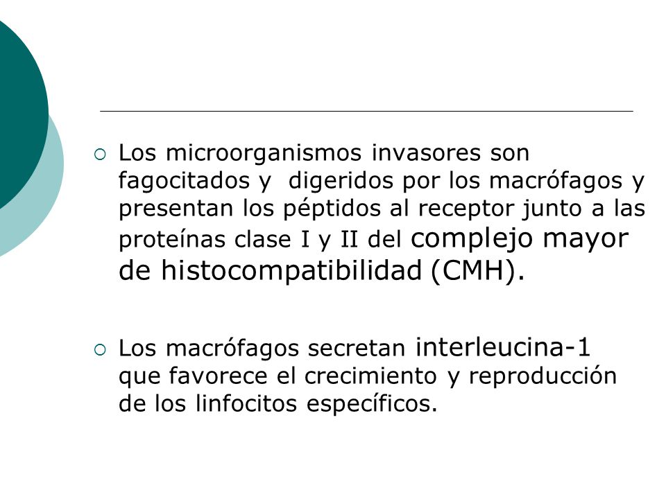Los microorganismos invasores son fagocitados y digeridos por los macrófagos y presentan los péptidos al receptor junto a las proteínas clase I y II del complejo mayor de histocompatibilidad (CMH).