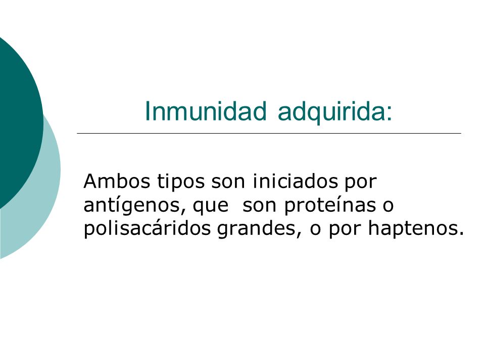 Inmunidad adquirida: Ambos tipos son iniciados por antígenos, que son proteínas o polisacáridos grandes, o por haptenos.