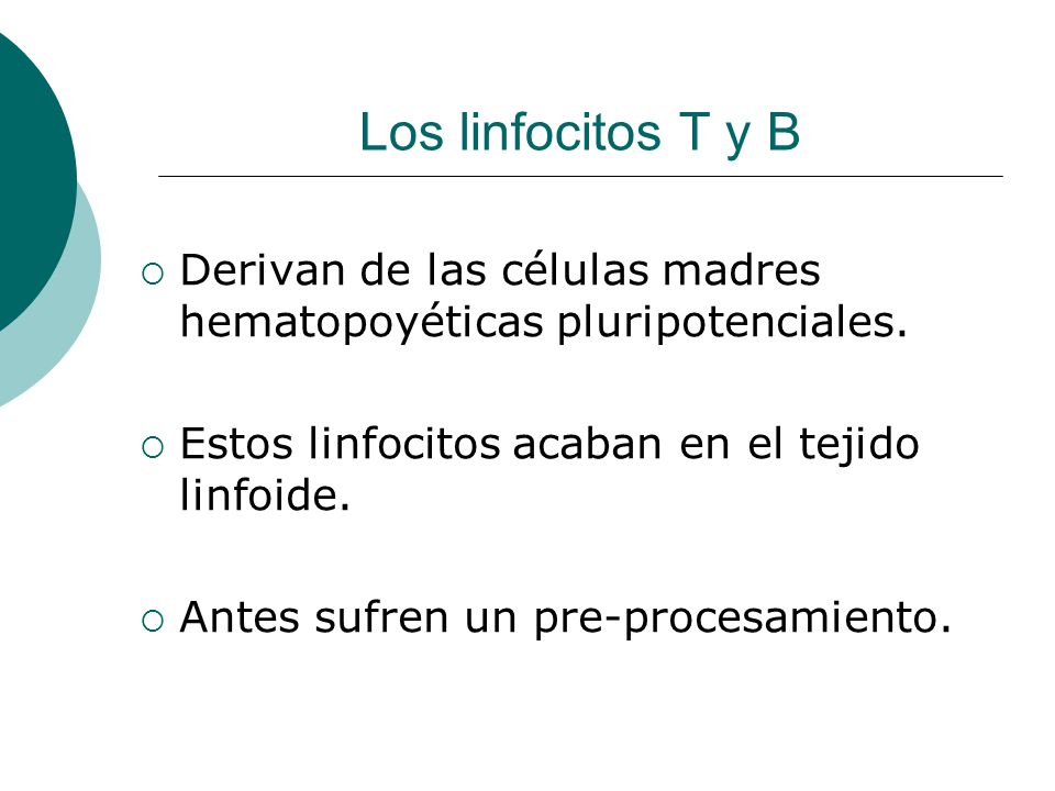 Los linfocitos T y B Derivan de las células madres hematopoyéticas pluripotenciales. Estos linfocitos acaban en el tejido linfoide.