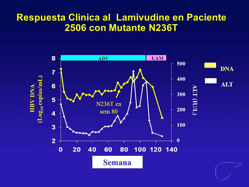 Respuesta Clinica al Lamivudine en Paciente 2506 con Mutante N236T