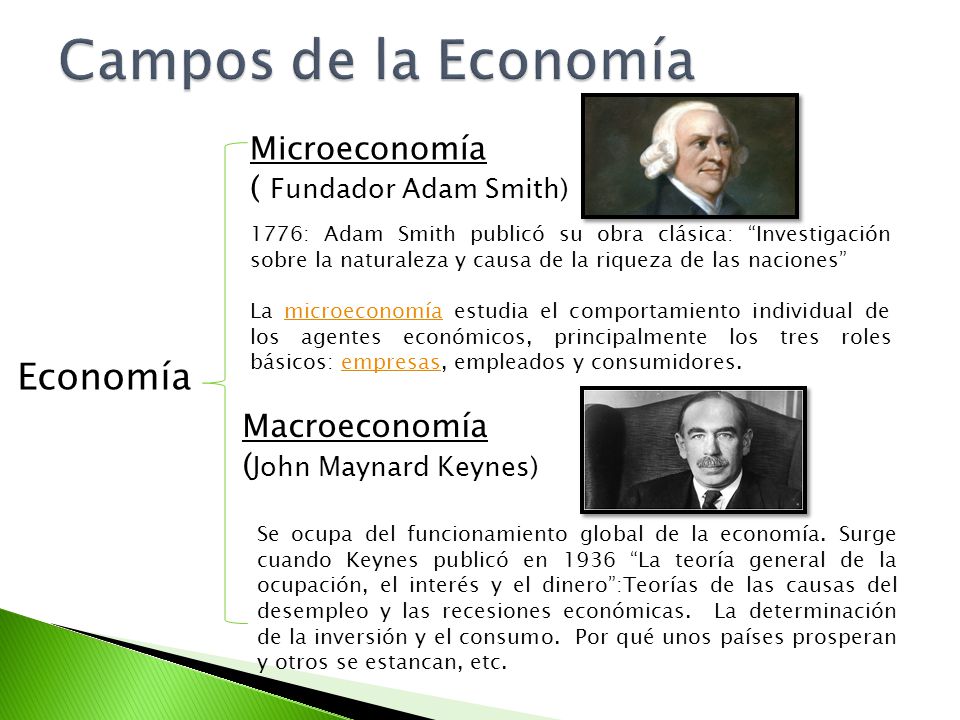 Campos de la Economía Economía Microeconomía ( Fundador Adam Smith)