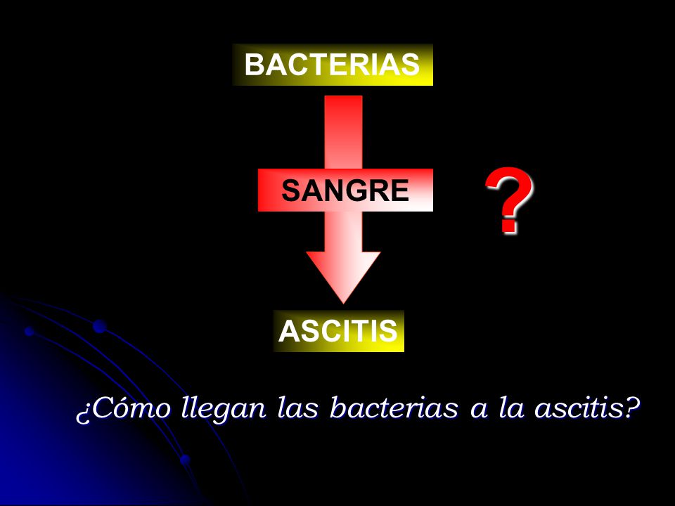 BACTERIAS SANGRE ASCITIS ¿Cómo llegan las bacterias a la ascitis
