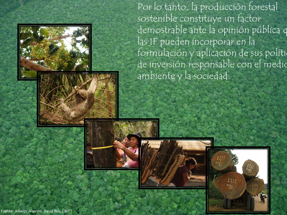 Por lo tanto, la producción forestal sostenible constituye un factor demostrable ante la opinión pública que las IF pueden incorporar en la formulación y aplicación de sus políticas de inversión responsable con el medio ambiente y la sociedad.
