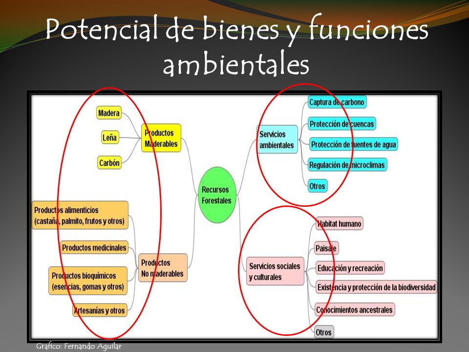 Potencial de bienes y funciones ambientales