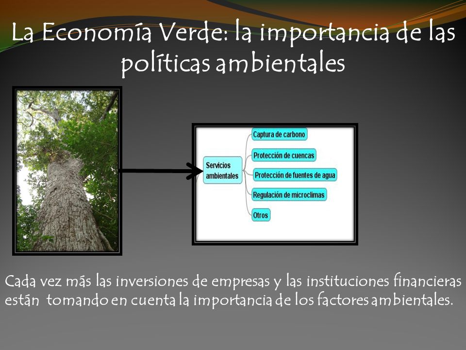 La Economía Verde: la importancia de las políticas ambientales