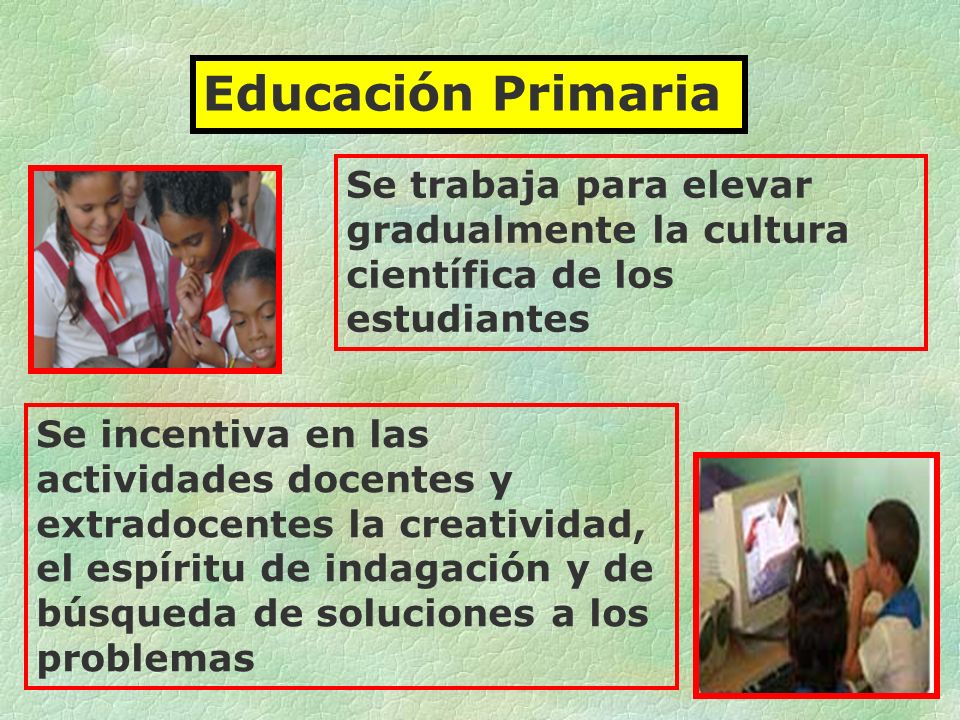 Educación Primaria Se trabaja para elevar gradualmente la cultura científica de los estudiantes.